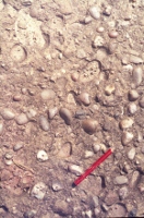 pebbles
